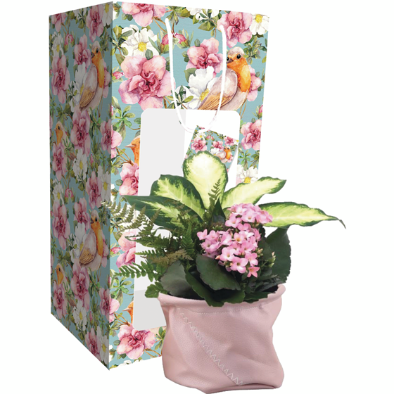 null Sac à cadeau jardinière 1 ea, 26,00 $/1ch