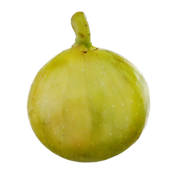 null Figues vertes 1 ea, 1,50 $/1ch