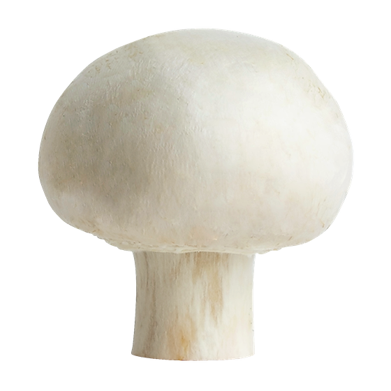 null White Mushrooms $1.32/100g $5.99/1lb