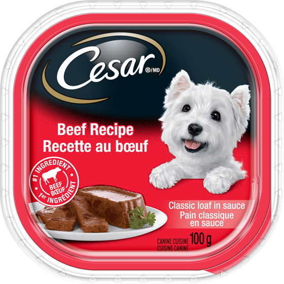 Cesar Nourriture humide pour chiens – pain classique en sauce recette au bœuf, barquette 100 g, 1,99 $/100g