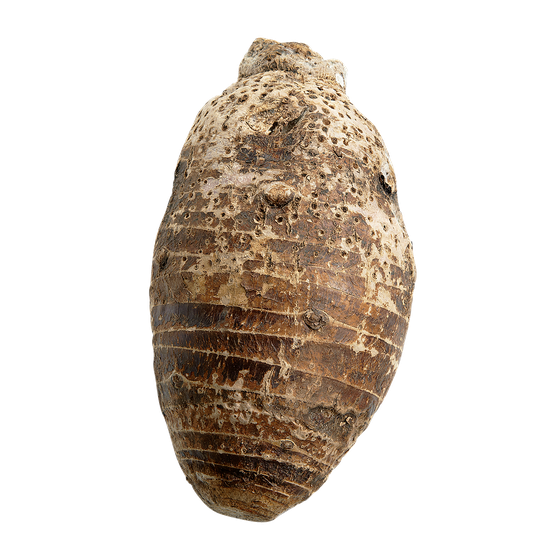 null Taro Root, Medium $13.23/1kg $6.00/1lb