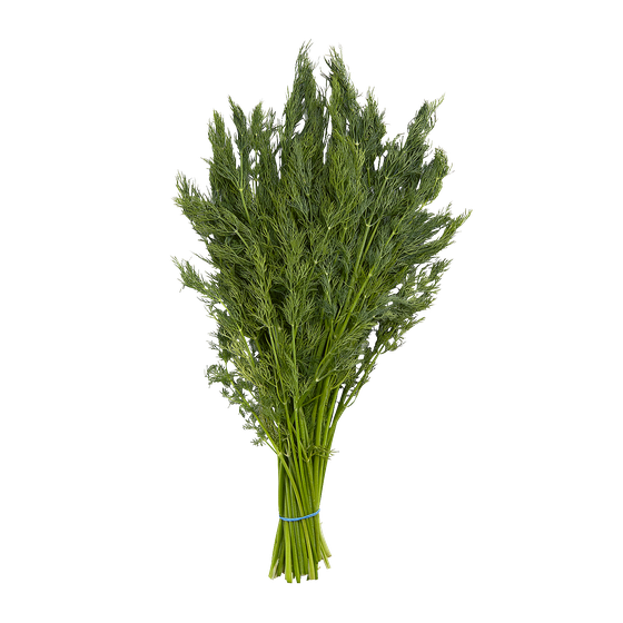 null Aneth biologique bouquet frais 1 ea, 4,99 $/1ch