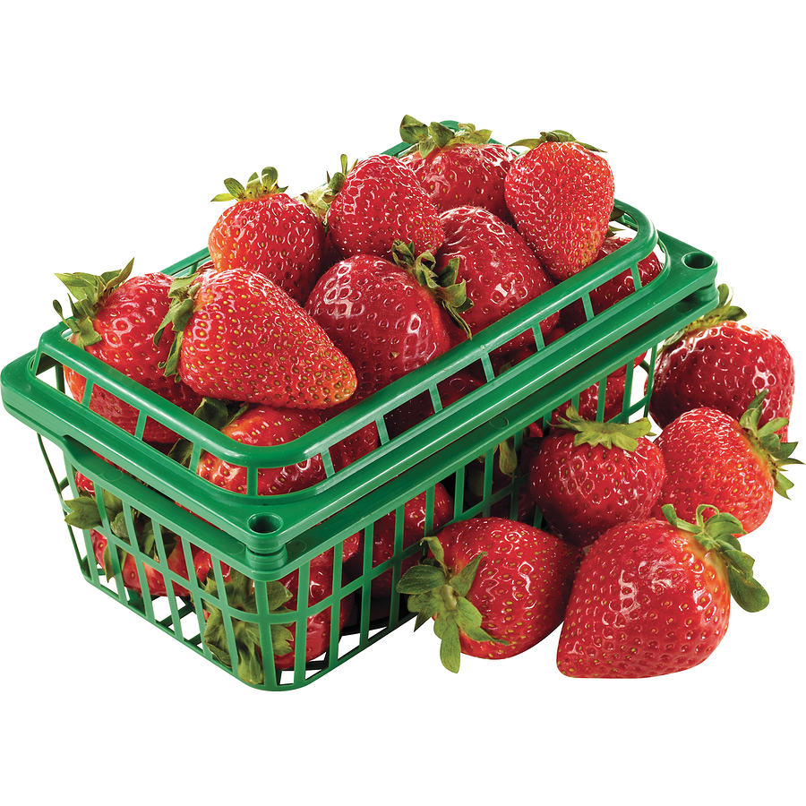 STRAWBERRY FIELDS 『Lips Like Strawberry』 Iconic 370 - Strawberry Fields – SofTap