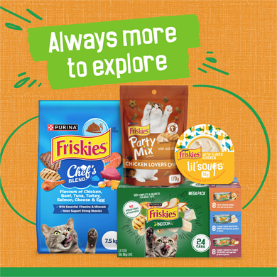 Purina Friskies Cat Treats Friskies Party Mix Coupons Chicken