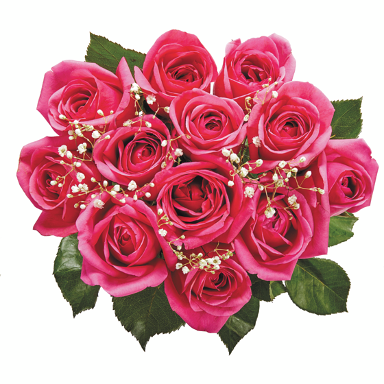 le Choix du Président Douzaine de roses de couleurs variées. 1 ea, 26,00 $/1ch
