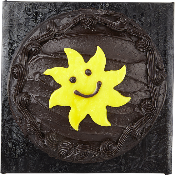 null Single Layer Cake, Double Fudge 591 g, $1.69/100g