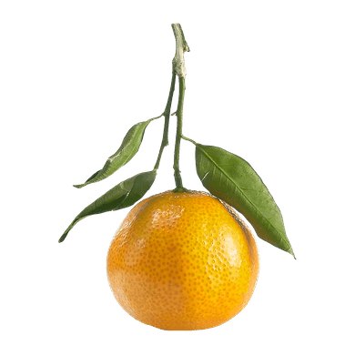 null Clementine Stem & Leaf $8.80/1kg $3.99/1lb