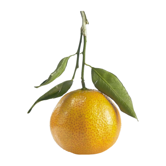 null Clémentint tige et feuille 8,82 $/1kg 4,00 $/1lb