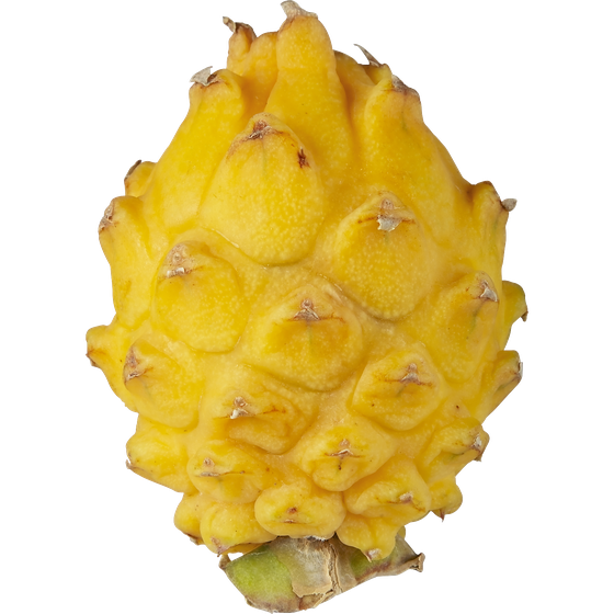 null Fruit du dragon jaune 1 ea, 4,48 $/1ch