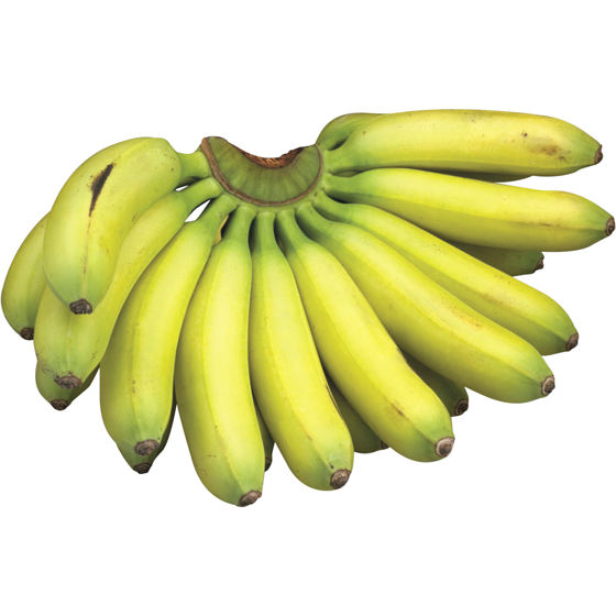 null Manzano Bananas, Bunch $3.95/1kg $1.79/1lb