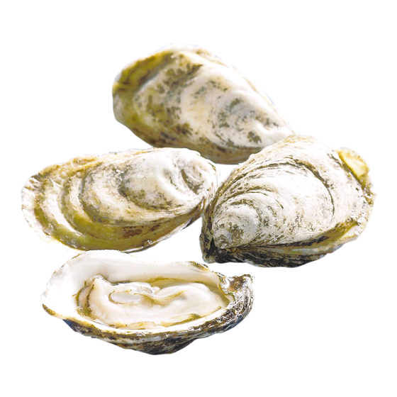 null Beausoleil Cocktail Oysters 1 ea, $1.99/1ea