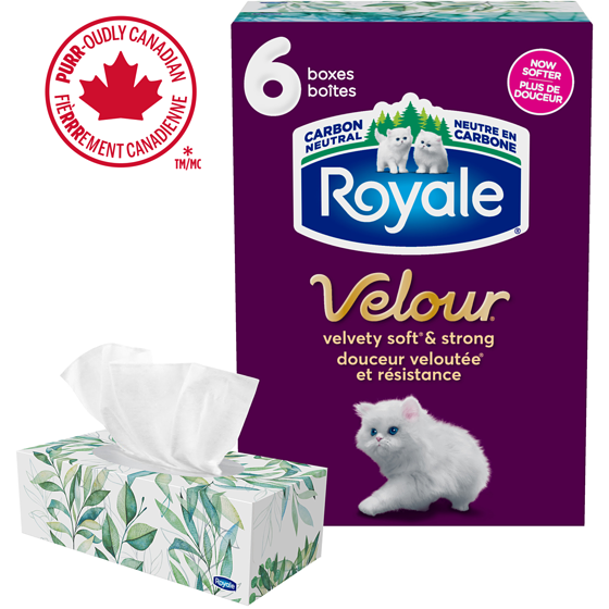 Royale Velour 3 Ply Facial Tissue, 6 Tissue Boxes, 72 Tissues per box 6x1.0 ea, $0.01/1ea