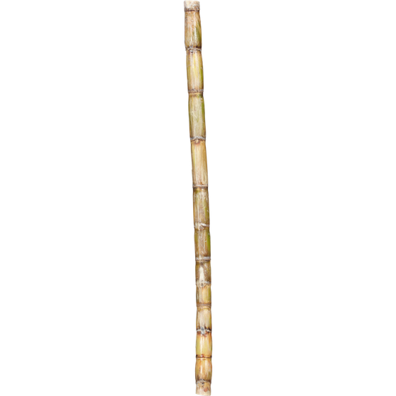 null Sugar Cane 1 ea, $3.49/1ea