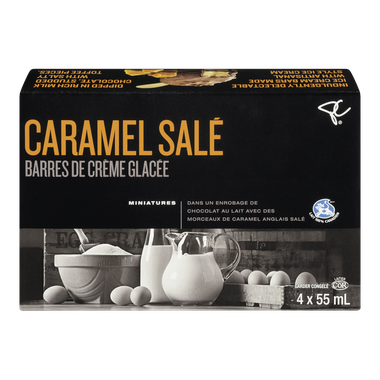 Mini barres de crème glacée au caramel saléCcollection noire PC Collection noire