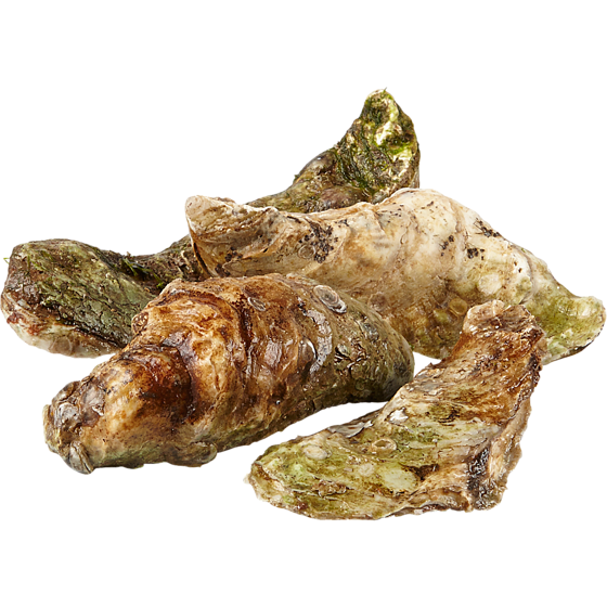 null Malpeque Oysters, Medium 40 g, $2.48/100g