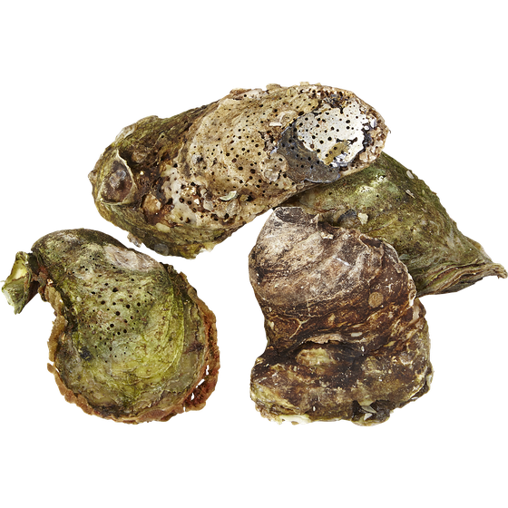 null Malpeque Oysters, Choice 40 g, $4.98/100g