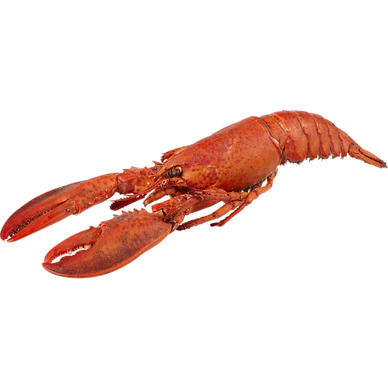 Orion Previously Frozen Whole Cooked Lobster 280 g, $357.14/100g