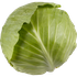 Cabbage, Green