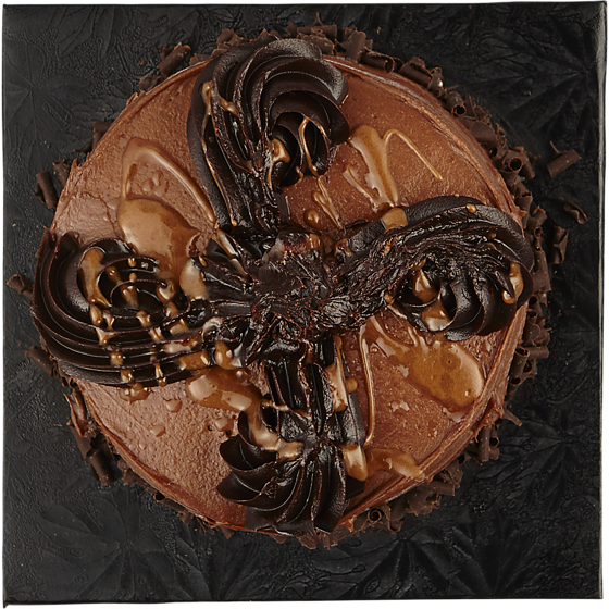 null 5" Salted Caramel Cake 553 g, $2.71/100g