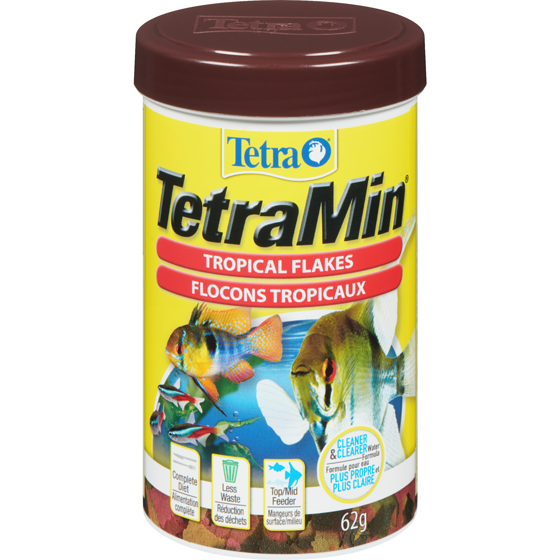 Tetra Tetramin Tropical Flakes 62 g, $12.89/100g