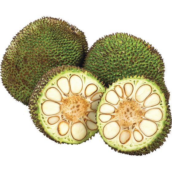 null Châtaigne 4,41 $/1kg 2,00 $/1lb