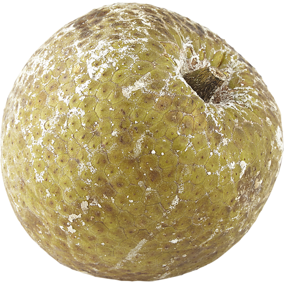 null Breadfruit $7.69/1kg $3.49/1lb