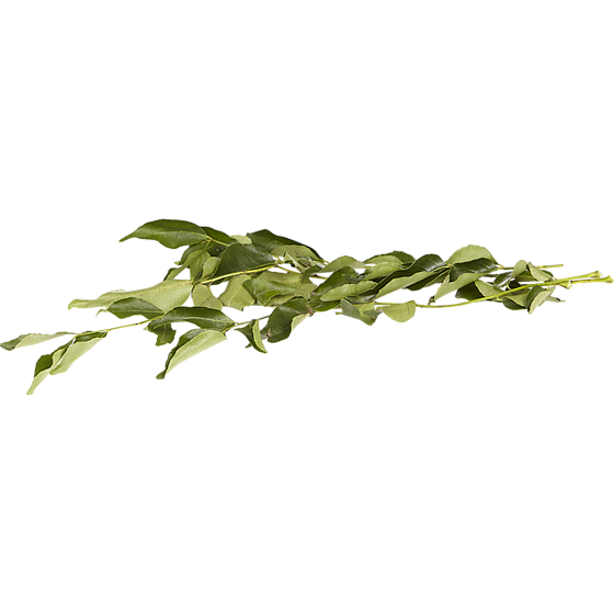 null Curry Leaf (1 pack) 60 g, $4.17/100g