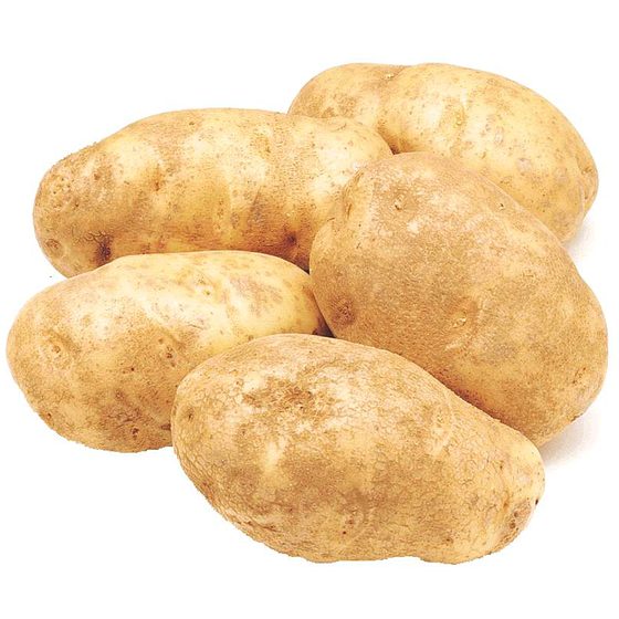 null Pommes de terre Russet 22.7 kg, 1,52 $/100g