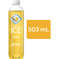 Jordanka Carbonated Natural Mineral Water - 1.5 l | Fortinos