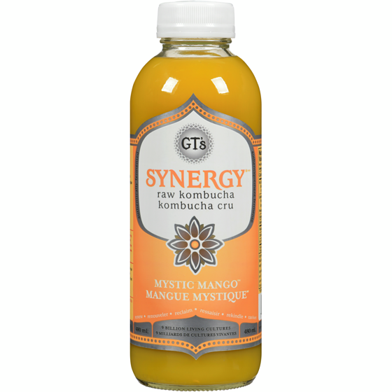 GT's Synergy The Real Kombucha Mystic Mango 480 ml, $1.04/100ml