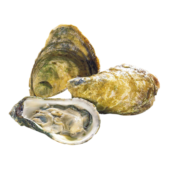 null Raspberry Point Oysters, 50 Piece 1 ea, $1.99/1ea
