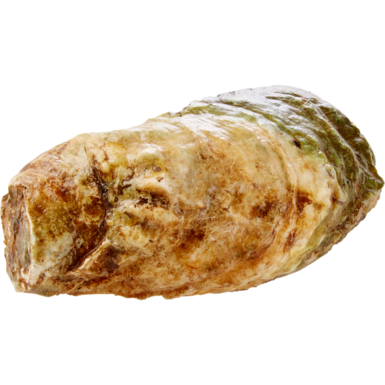 null Lucky Lime Oysters 1 ea, $1.99/1ea
