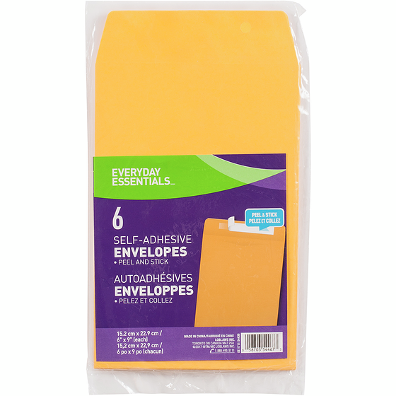 Everyday Essentials Kraft Envelopes 6x9" 6x1.0 ea, $0.33/1ea