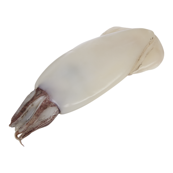 null Fresh Whole Cleaned Squid $30.84/1kg $13.99/1lb