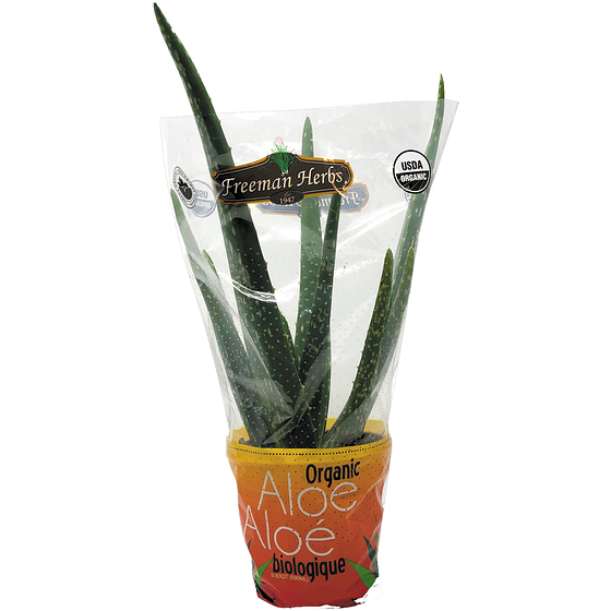 null Aloe Vera 1 ea, $9.00/1ea