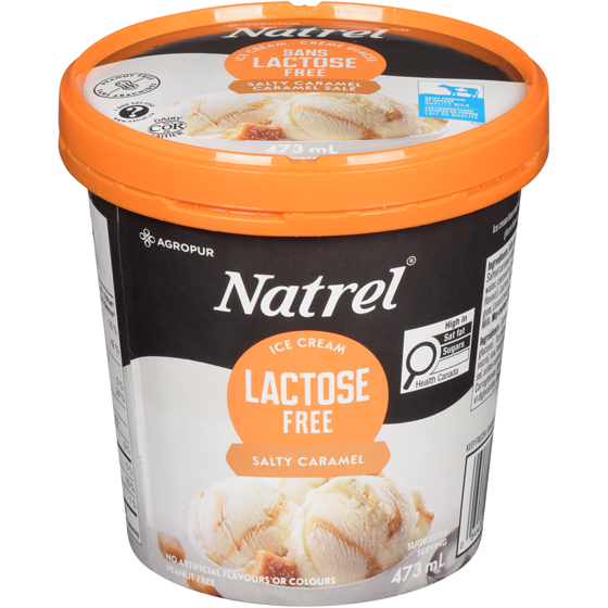 Natrel Salty Caramel Lactose Free Ice Cream 473 ml, $1.48/100ml