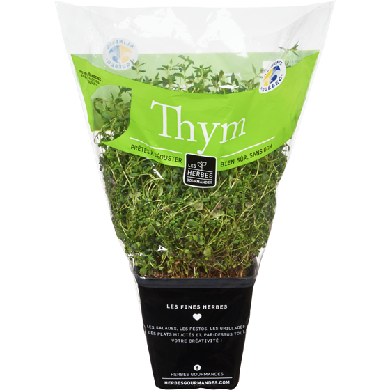 null Thym frais en pot, 4 po 1 ea, 6,00 $/1ch