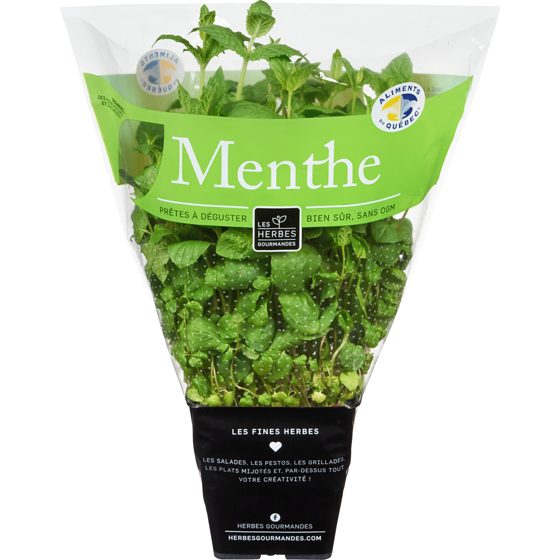null Menthe fraîche en pot, 4 po 1 ea, 6,00 $/1ch