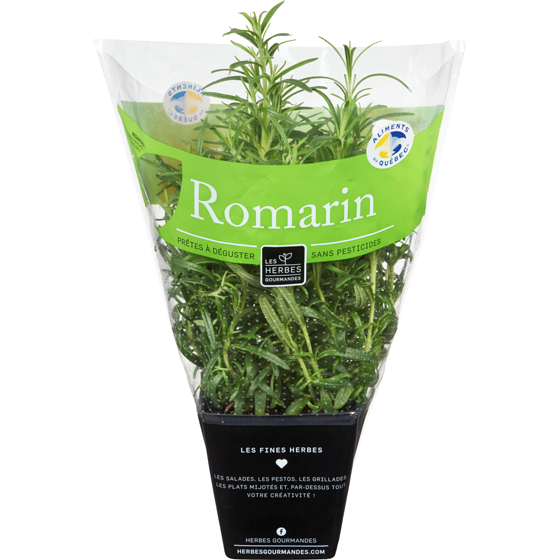 null Romarin frais en pot, 4 po 1 ea, 6,00 $/1ch