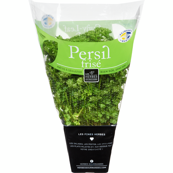 null Persil frisé en pot, 4 po 1 ea, 6,00 $/1ch
