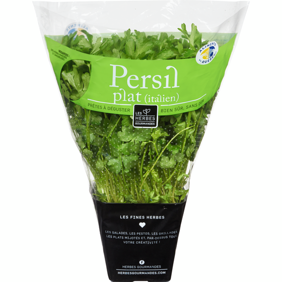 null Persil italien en pot, 4 po 1 ea, 6,00 $/1ch