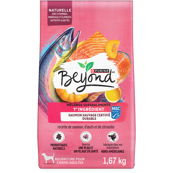 Purina Beyond mélange superaliments recette de saumon sauvage, d'œufs et de citrouille, nourriture sèche pour chien 1.67 kg, 0,78 $/100g