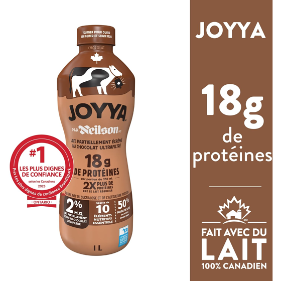 Neilson Lait partiellement écrémé au chocolat ultrafiltré 2% 1 l, 0,62 $/100ml