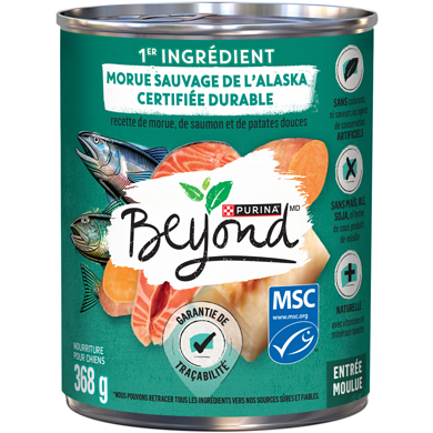 Purina Beyond Entrée moulue recette de morue de l’alaska, de saumon et de patate douce nourriture humide pour chiens 368 g, 0,95 $/100g
