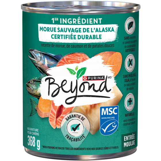 Purina Beyond Entrée moulue recette de morue de l’alaska, de saumon et de patate douce nourriture humide pour chiens 368 g, 0,81 $/100g