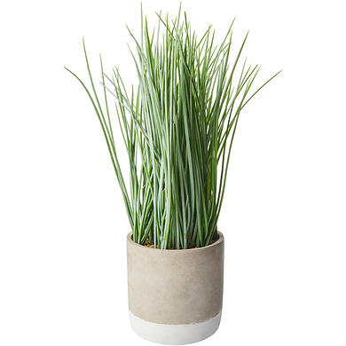 Life at Home Faux Grass in 2-Tone Sand Coloured Cement Pot, 15 in 1 ea, $20.00/1ea