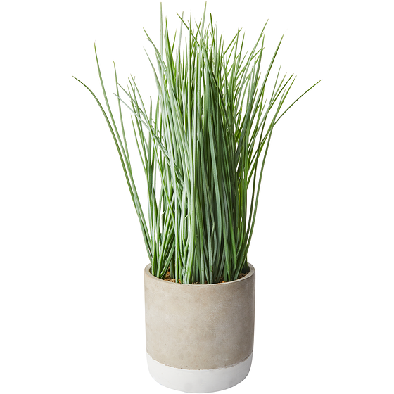 Life at Home Faux Grass in 2-Tone Sand Coloured Cement Pot, 15 in 1 ea, $20.00/1ea