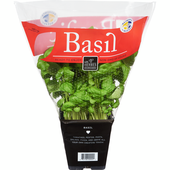 null Basil  1 ea, $6.00/1ea