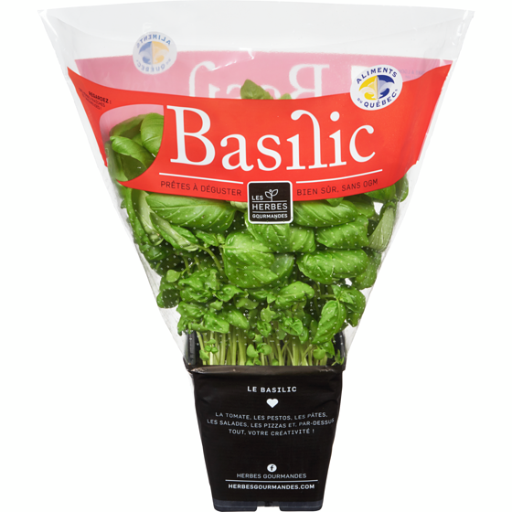 null GOURMA BASILIC FRAIS EN POT 4P 1 ea, 6,00 $/1ch