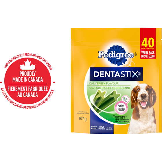 Pedigree Gâteries de soins buccodentaires Dentastix saveur fraîche pour chiens adultes de race moyenne 972 g, 2,26 $/100g